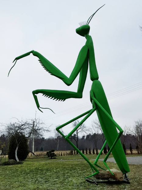Photo of a praying mantis sculpture